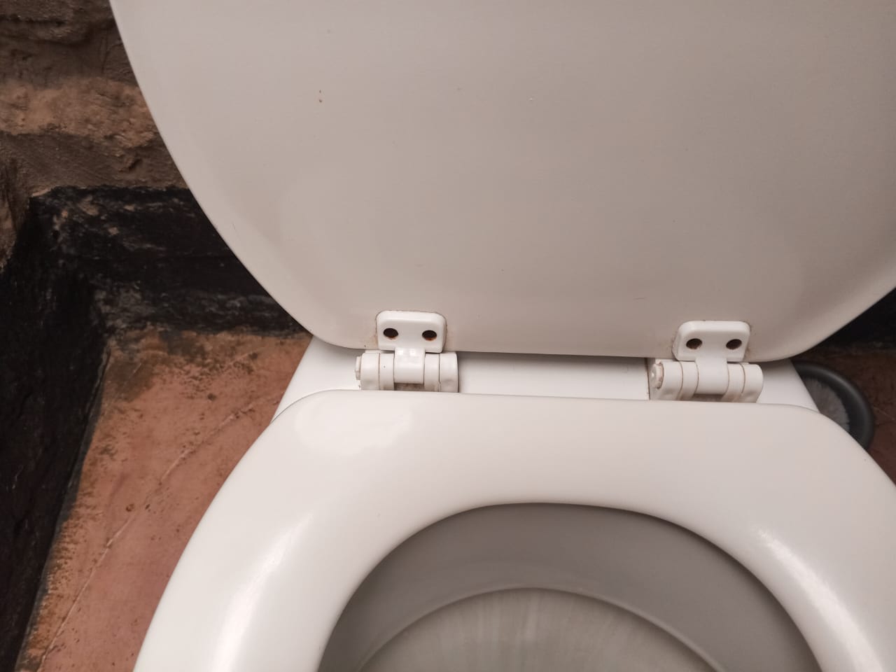 Toilet seat hinge detail